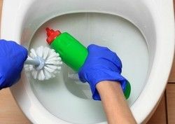 Liquid Blue Toilet Cleaner