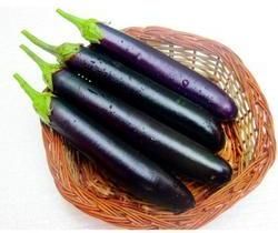 Brinjal Seed