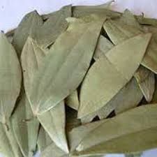 Green Bay Leaf