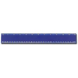 Blue Plastic Scale
