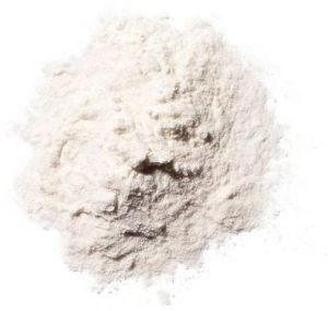 Xylanase Enzyme