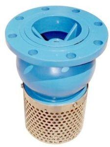 Blue FOOT VALVE