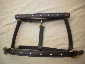 Horse Halters