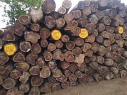 Ghana Teak Wood