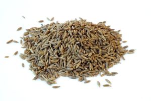 Brown Cumin Seeds