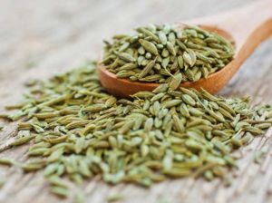 Fennel Seeds