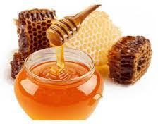 Forest Honey