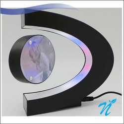 Oval Magnetic Photo Frame