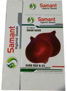 Dark Red N-53 Onion Seeds