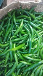 Fresh Green Chilli