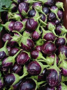 Fresh Brinjal