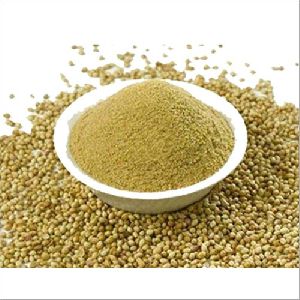 Coriander Powder