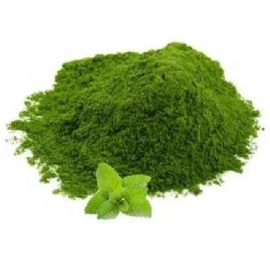 Mint Pudina Powder