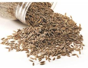 Cumin Seeds