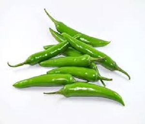 Fresh Green Chilli