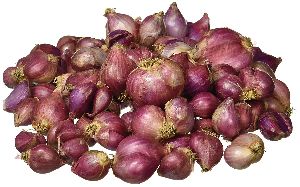 Fresh Sambar Onion