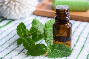 Mint Hair Oil