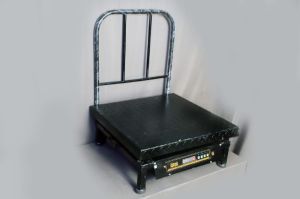 400X400mm Mild Steel Platform Weighing Scale