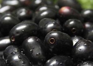 Fresh Black Plum