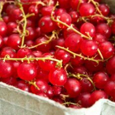 Fresh Currants