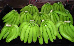 Fresh Raw Banana