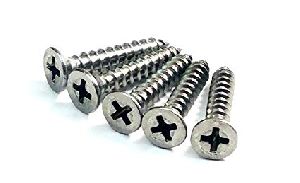 Stainless Steel Screws