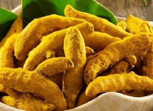 dried turmeric finger