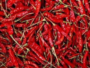 Long Dried Red Chilli