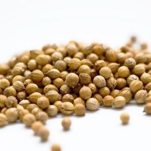 Organic Coriander Seeds