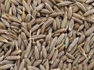 Organic Cumin seeds