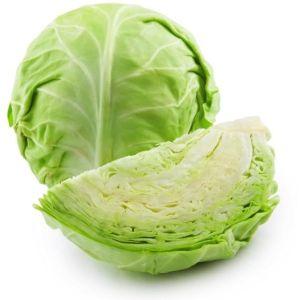 Cabbage