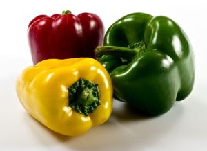 Capsicum