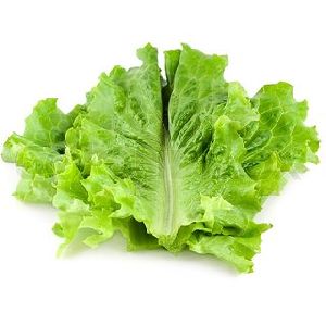 Lettuce