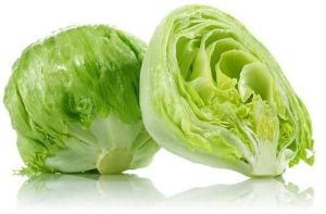 lettuce iceberg