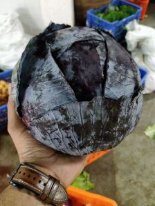 Red Cabbage