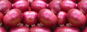 Fresh Onion