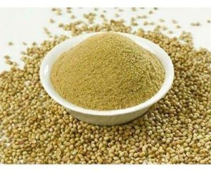 Green Coriander Powder