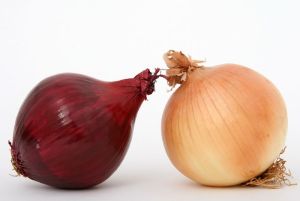 Onions