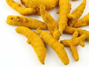 Turmeric Finger