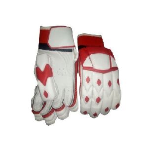 Cricket Batting Gloves