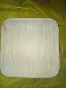 10 Inch Square Areca Leaf Plates