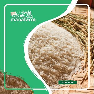 Premium Sona Masoori Raw Rice
