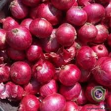 Onion