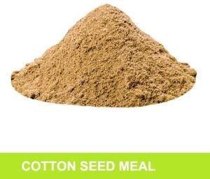 Cotton Seed Meal