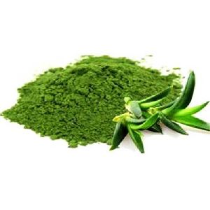 Aloe Vera Extract Powder