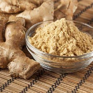 Ginger Extract Powder