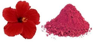 Hibiscus Extract Powder