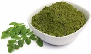 Moringa Extract Powder