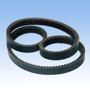 Timing Belts