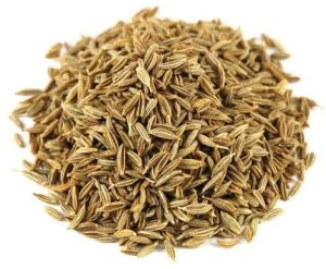 Cumin Seed